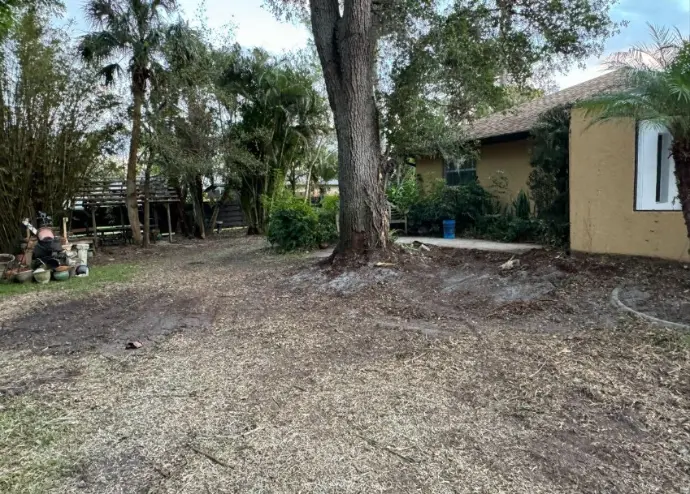 After Yard Cleanup