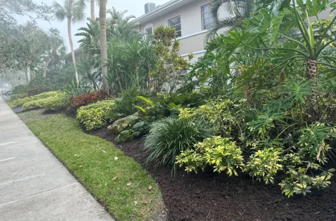 Commercial mulch bed with plantings 
